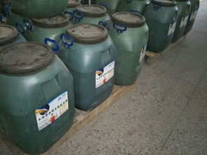 愛迪斯BBC 251道橋聚合物改性瀝青防水涂料 水性建筑涂料領(lǐng)域的卓越解決方案