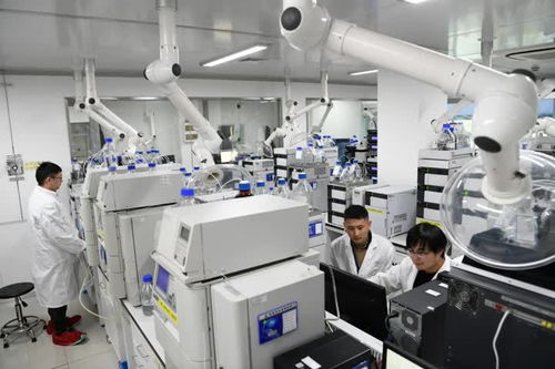 江蘇海門 奮進 科技賽道 , 長江荒灘 蝶變 創新之城