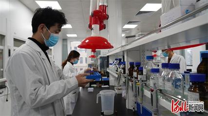 邯鄲市科技特派團助"小巨人"迸發大能量