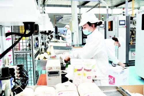 環(huán)保餐具企業(yè)抓生產(chǎn)穩(wěn)就業(yè)