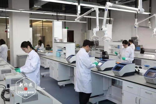 黑龍江 種業大王 年銷售額全國第二 其實有秘密武器哦