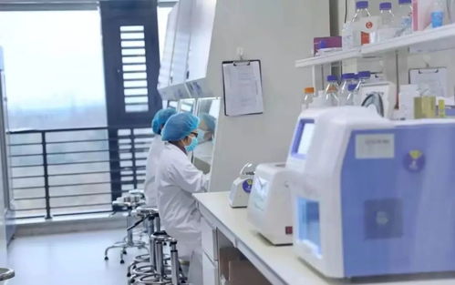 居家辦公 助農惠民......武侯新經濟企業用互聯網賦能疫情防控