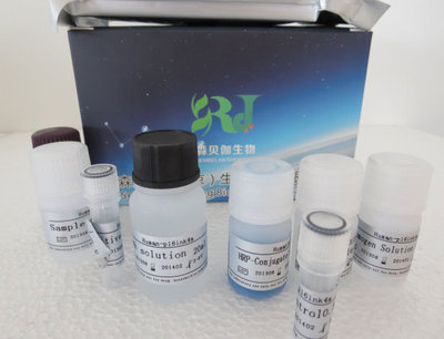 人膽堿乙酰化酶(CHAc)ELISA試劑盒廠家_南京森貝伽生物科技_丁香通