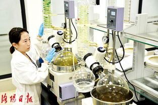 洛陽澤達慧康醫藥 大力研發新品中藥 助推健康產業升級