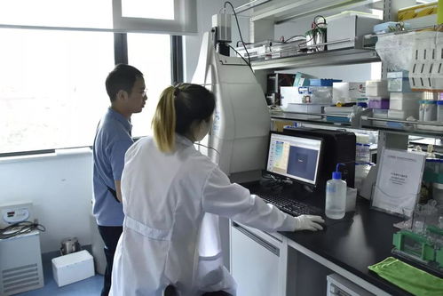 湖北省科學技術協會