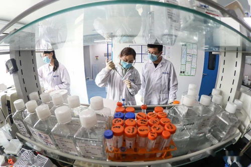 20天內完成4項產品研發,高新區生物科技圈有支 青年軍團
